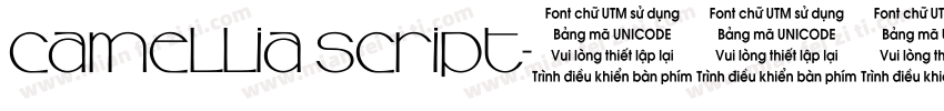 Camellia Script字体转换